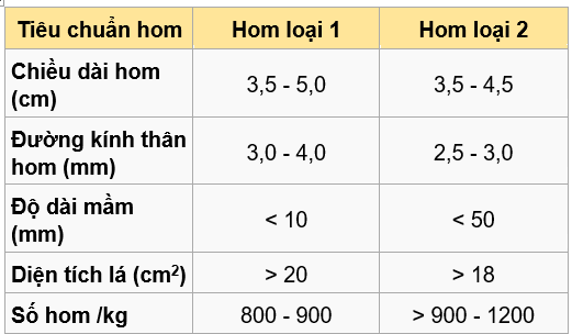 bài 7- tiêu chuẩn hom (2)_1628495341.png